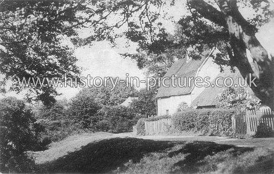 Stanway Green, Colchester, Essex. c.1918